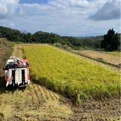 ［今週で締め切ります］令和6年度福井県産コシヒカリ　