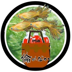 ９月２１日8時半から13時までめだか販売やりますの画像