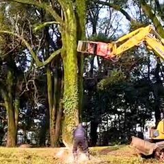 日払い相談可💰15時に終わることも❗️❓煩わしい人間関係なし🕺【林業・造園】の画像