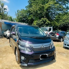 平成25トヨタ ヴェルファイア  車検 8年4月 の画像