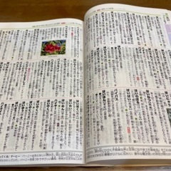 チャレンジ 小学 国語辞典 カラー版の画像
