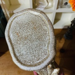 値下げ❗️★鳥のお酒が入ってた容器★お酒は入ってません🙏の画像