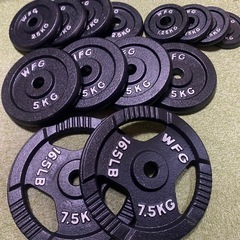 【美品】WFGプレート50kg＋シャフト1840mm