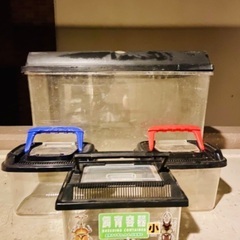 虫籠、飼育ケース　大1個　小3個　無料