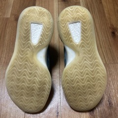 adidas イージークォンタムの画像