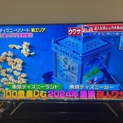 大型 高級テレビ　上位機種　65インチ　東芝レグザの画像