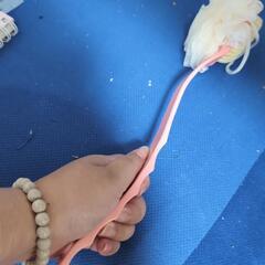 両面使えるボディブラシの画像