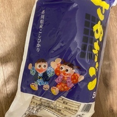 お米　こしひかり　5キロ　米
