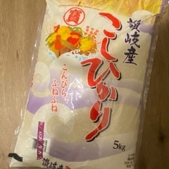 こしひかり　5キロ　お米　米