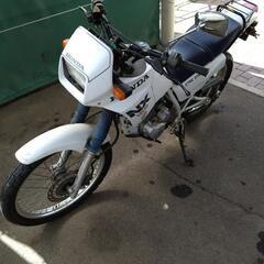 珍車　早い者勝ち　ホンダnx125実働の画像