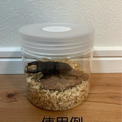 飼育ケース　20個セット　オリジナル　　700mlの画像