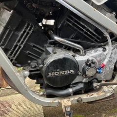 HONDA vt250fe
の画像
