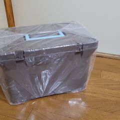 新品　クーラーボックス　チョコミント　１５L