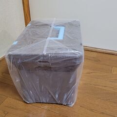 新品　クーラーボックス　チョコミント　１５Lの画像