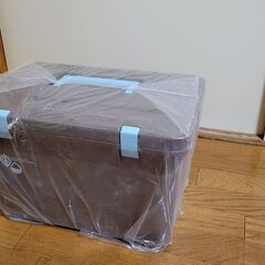 新品　クーラーボックス　チョコミント　１５Lの画像