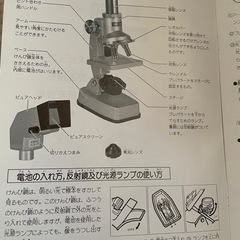 顕微鏡の画像