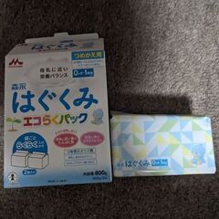 森永 はぐくみ エコらくパック(400g×1袋)