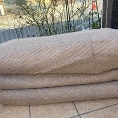 カーペット　の画像