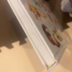 ひらがなのえほんの画像