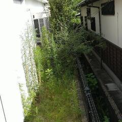 草むしり、お掃除等困り事あれば力になります‼️ - 島原市