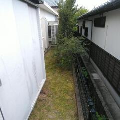 草むしり、お掃除等困り事あれば力になります‼️ - 手伝いたい/助けたい
