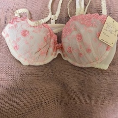 新品未使用ワコールブラジャー2種ありの画像