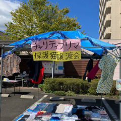 チャリティーフリーマーケット、保護猫譲渡会