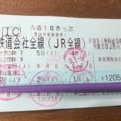 18きっぷ  1回分