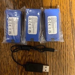 ホリーストンドロンHS430バッテリーとケーブル