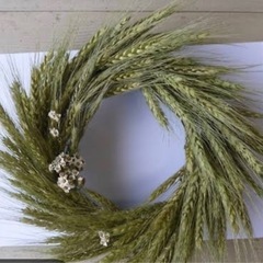麦tpの画像
