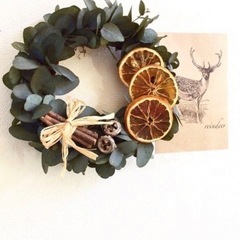 ドライオレンジの画像