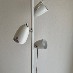 間接照明　ライトの画像