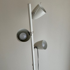 間接照明　ライトの画像