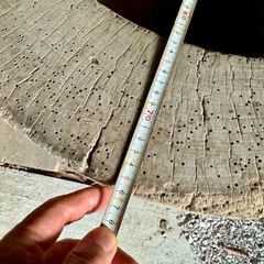 木の臼、大きくて立派です（飯能市）の画像