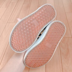 15.5~16.0cmの画像