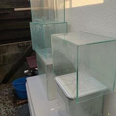 水槽　🐟💦　　の画像