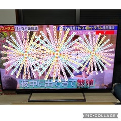 テレビ