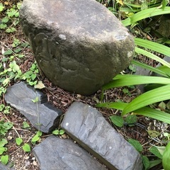 庭石の画像