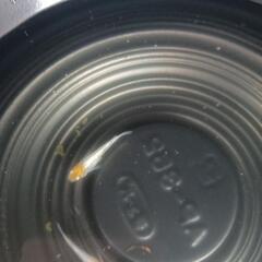 9/7めだか販売の画像