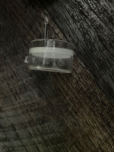 あと数日で受付終了！合わせ買い値引きあり！ADA パレングラスビートル30θ+予備のおまけ付き