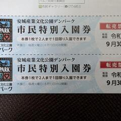 【値下げ】安城市　デンパーク　入園券　２枚