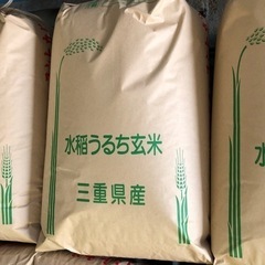 令和6年　採れたて新米　玄米　30kg 一袋⑦