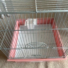 鳥かごの画像