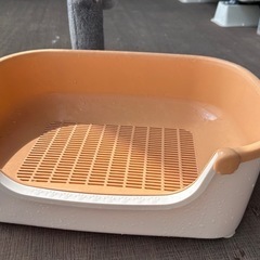 子猫トイレとおもちゃ　無料差し上げ