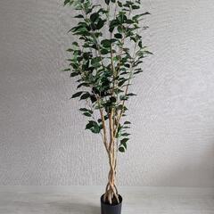 ニトリ フェイクグリーン フィカス 150cm