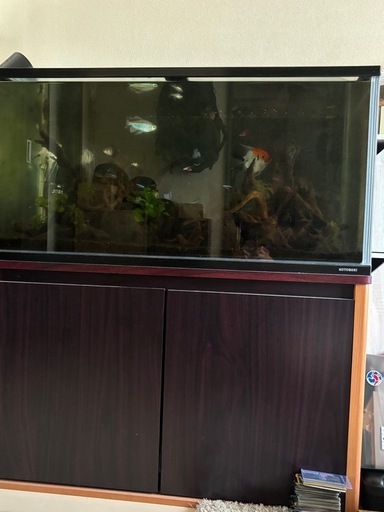 コトブキ90センチ水槽