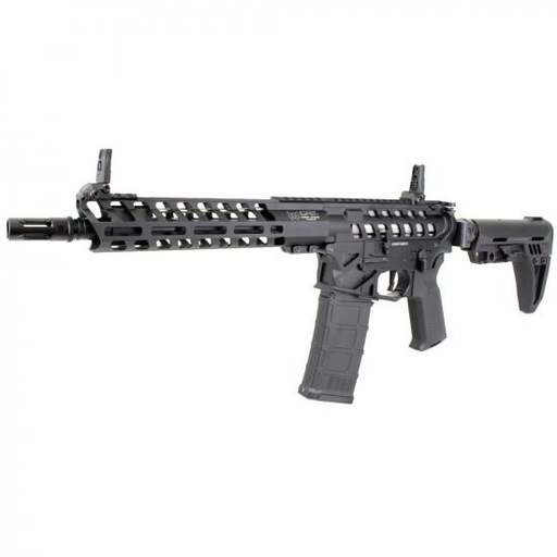 C.A.T. AR-15 Legendレジェンド 10