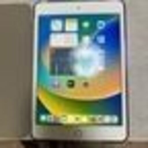 iPad mini 第5世代　セルラー　64G 美品！
