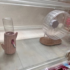 グラスハーモニー600☆2万円相当ハムスター、小動物用品一式の画像