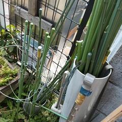 決まりました　園芸支柱